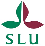 SLU10_300